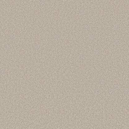 TEXTURE BCF