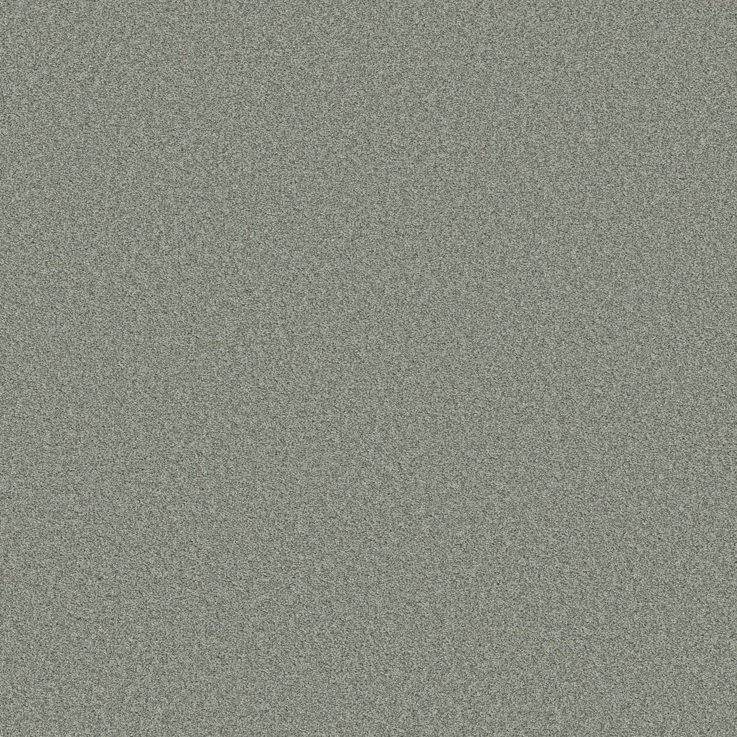 TEXTURE BCF