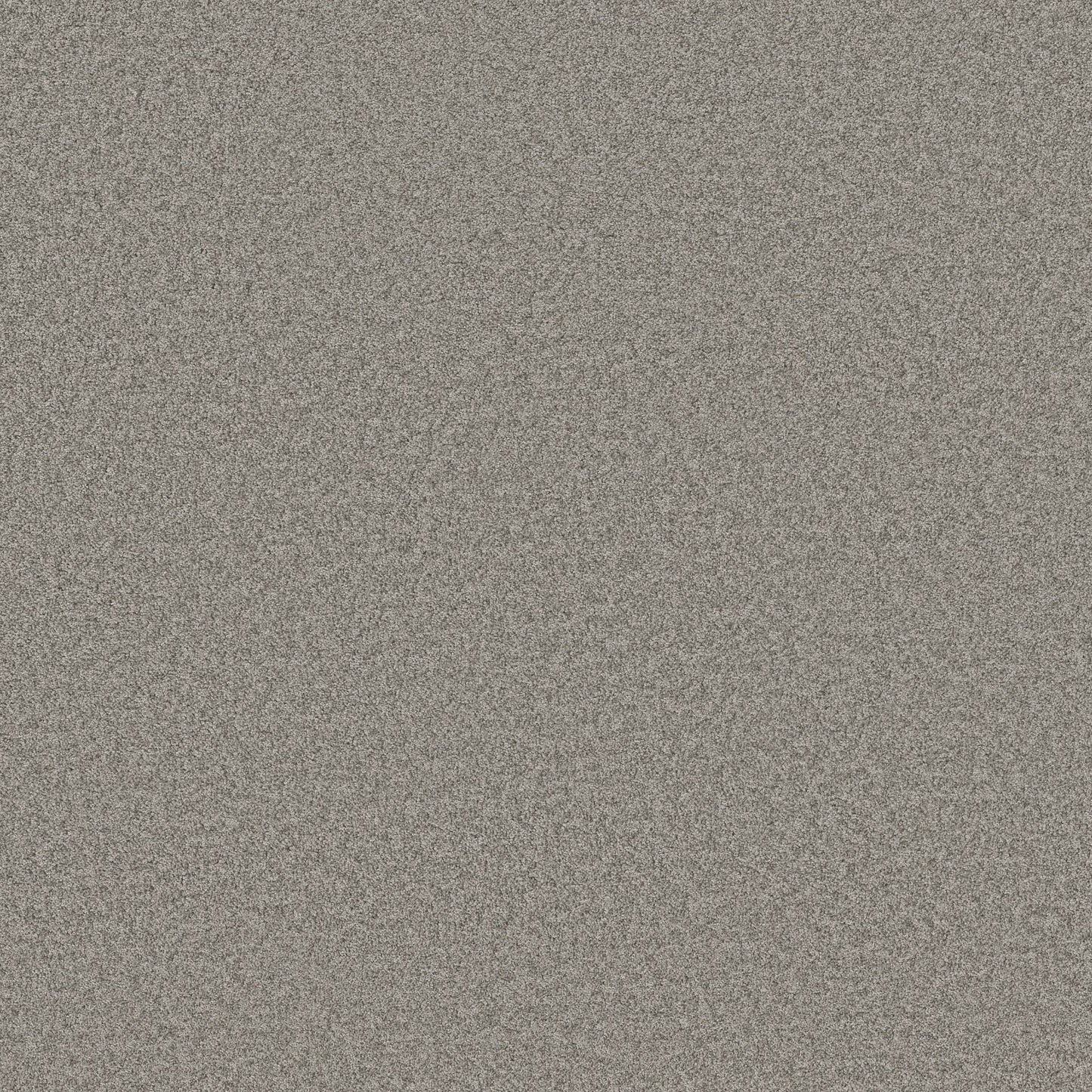 TEXTURE BCF