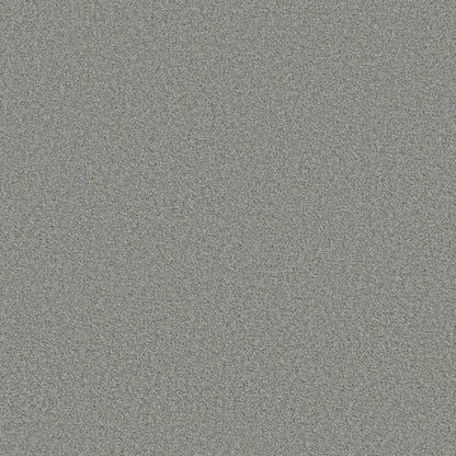 TEXTURE BCF