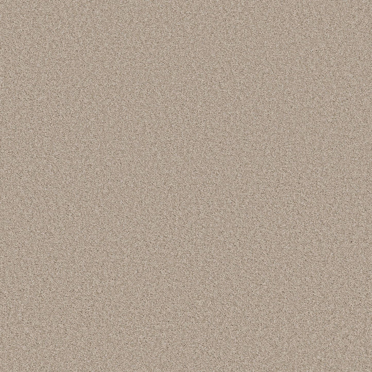 TEXTURE BCF