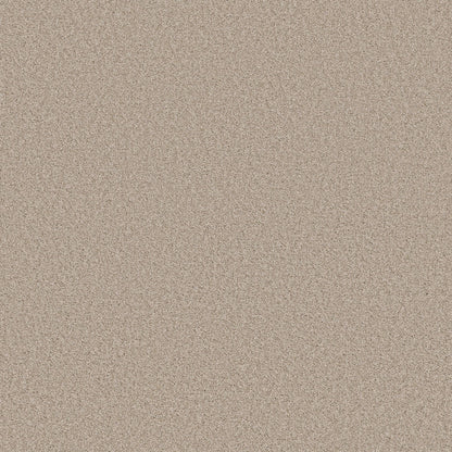 TEXTURE BCF