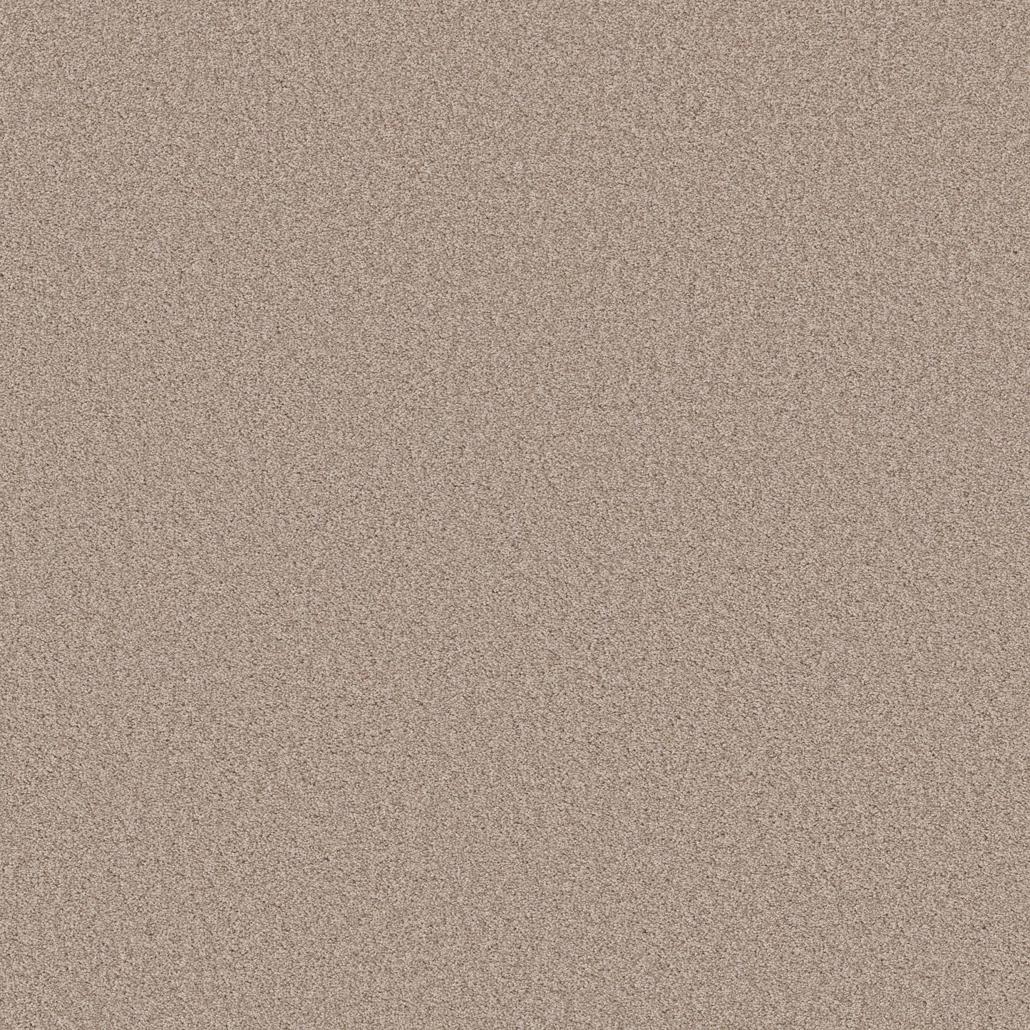 TEXTURE BCF