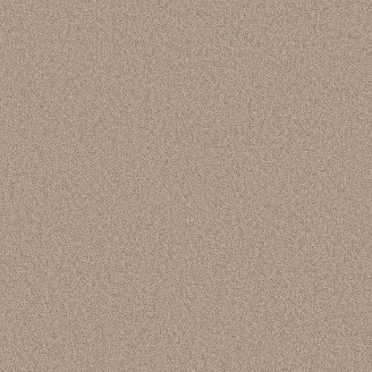 TEXTURE BCF