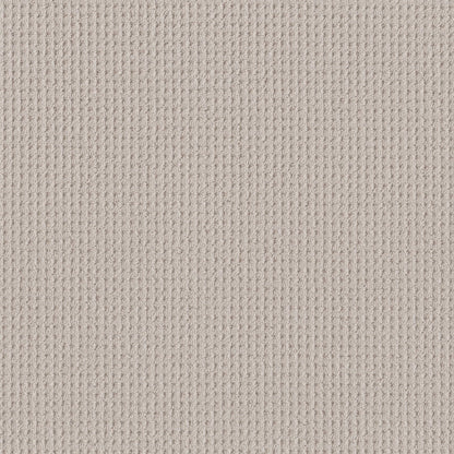 BERBER NYLON LOOP