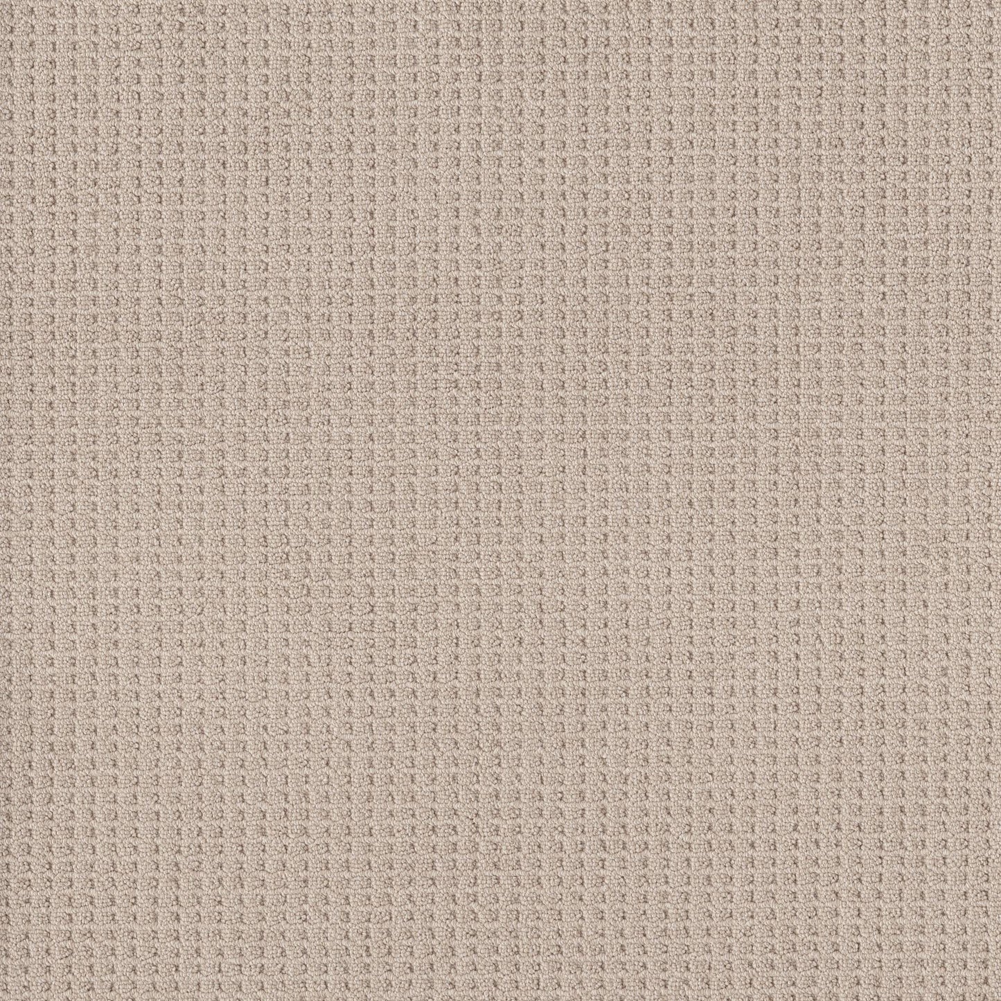 BERBER NYLON LOOP
