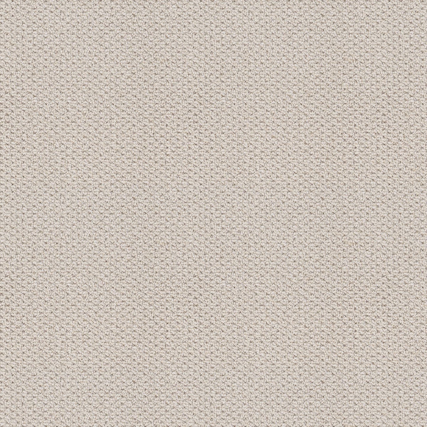 BERBER NYLON LOOP