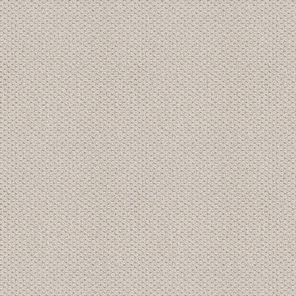 BERBER NYLON LOOP