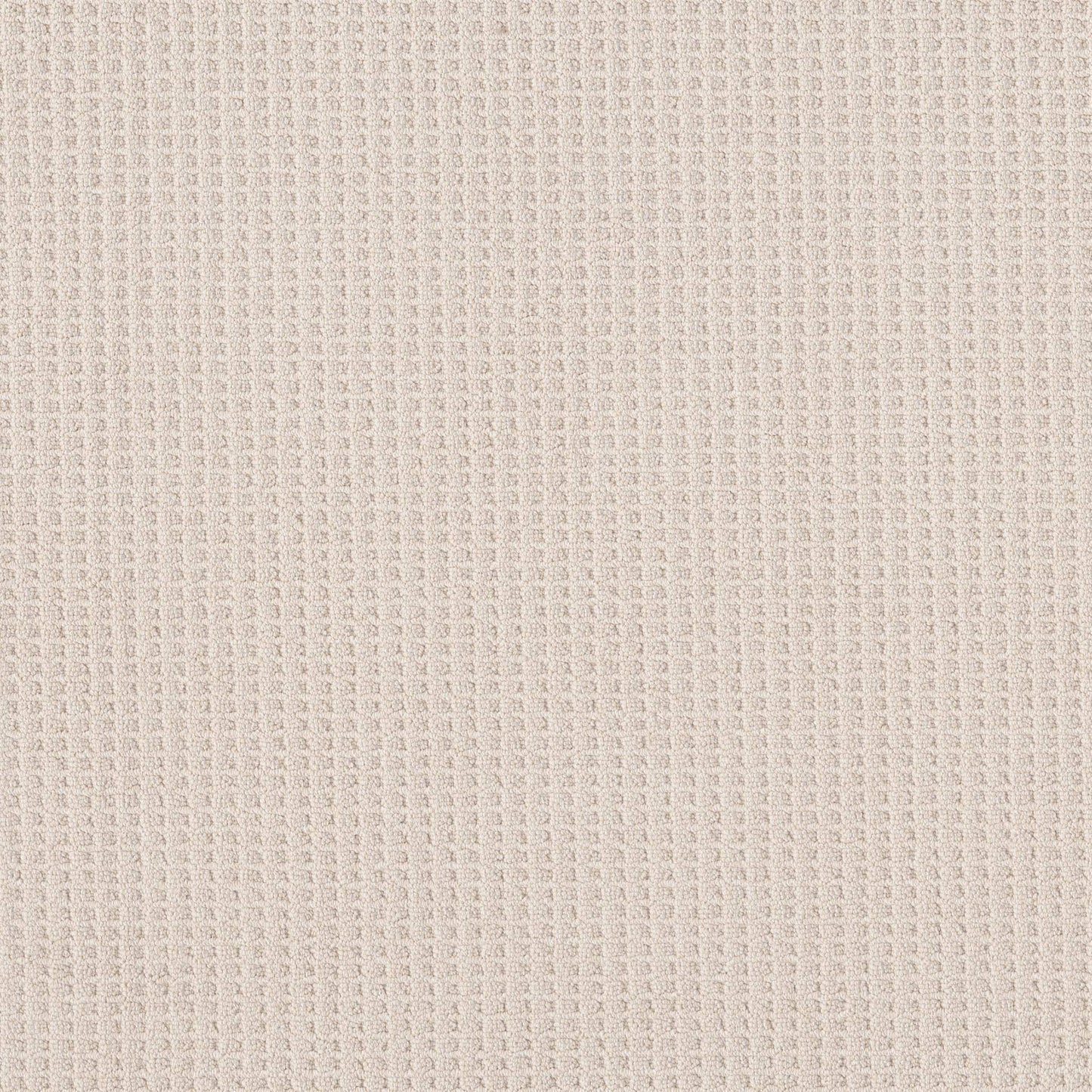 BERBER NYLON LOOP