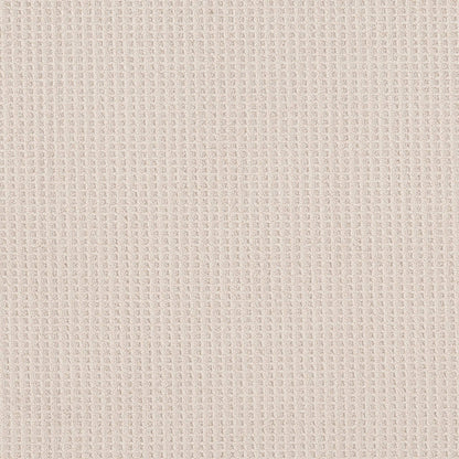 BERBER NYLON LOOP