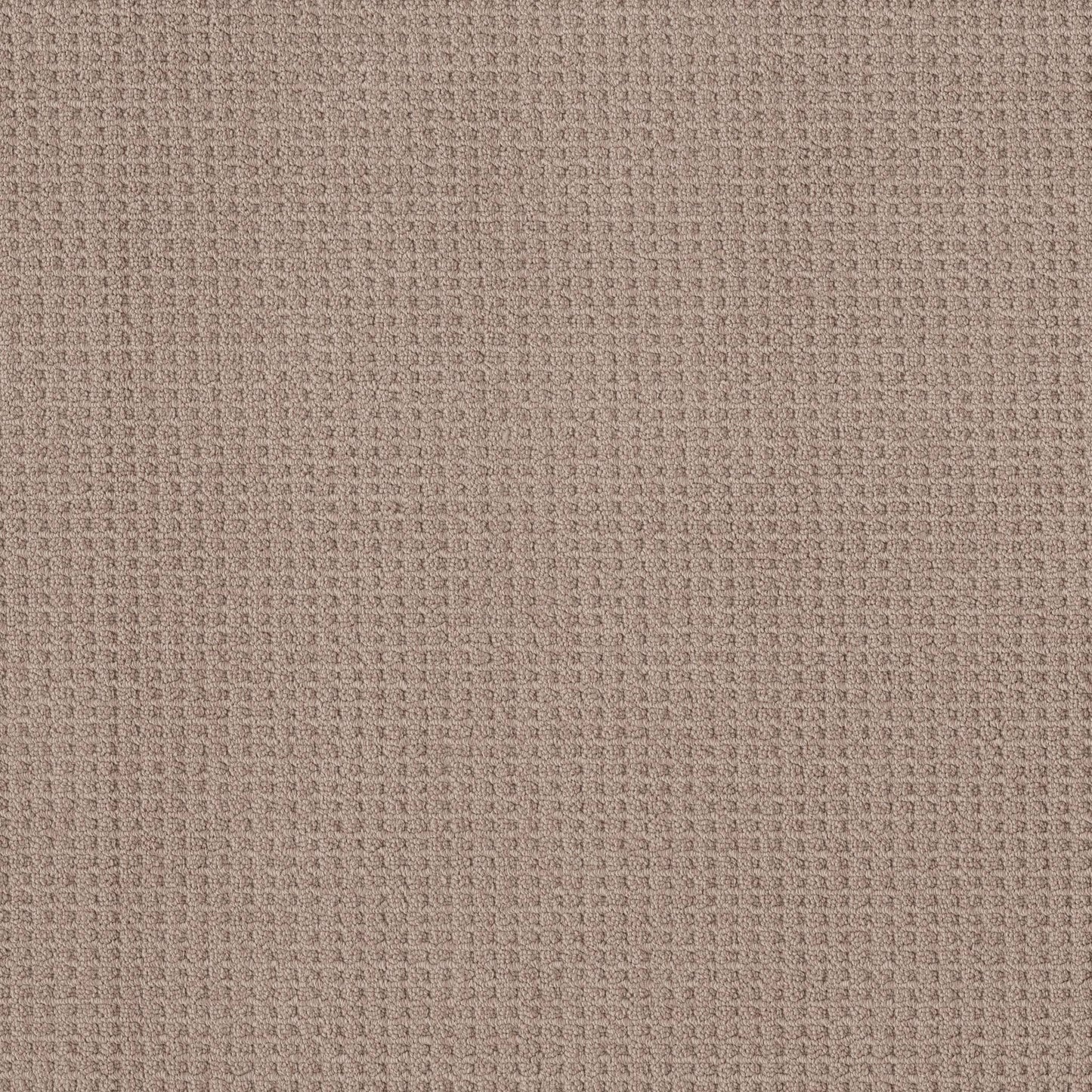 BERBER NYLON LOOP