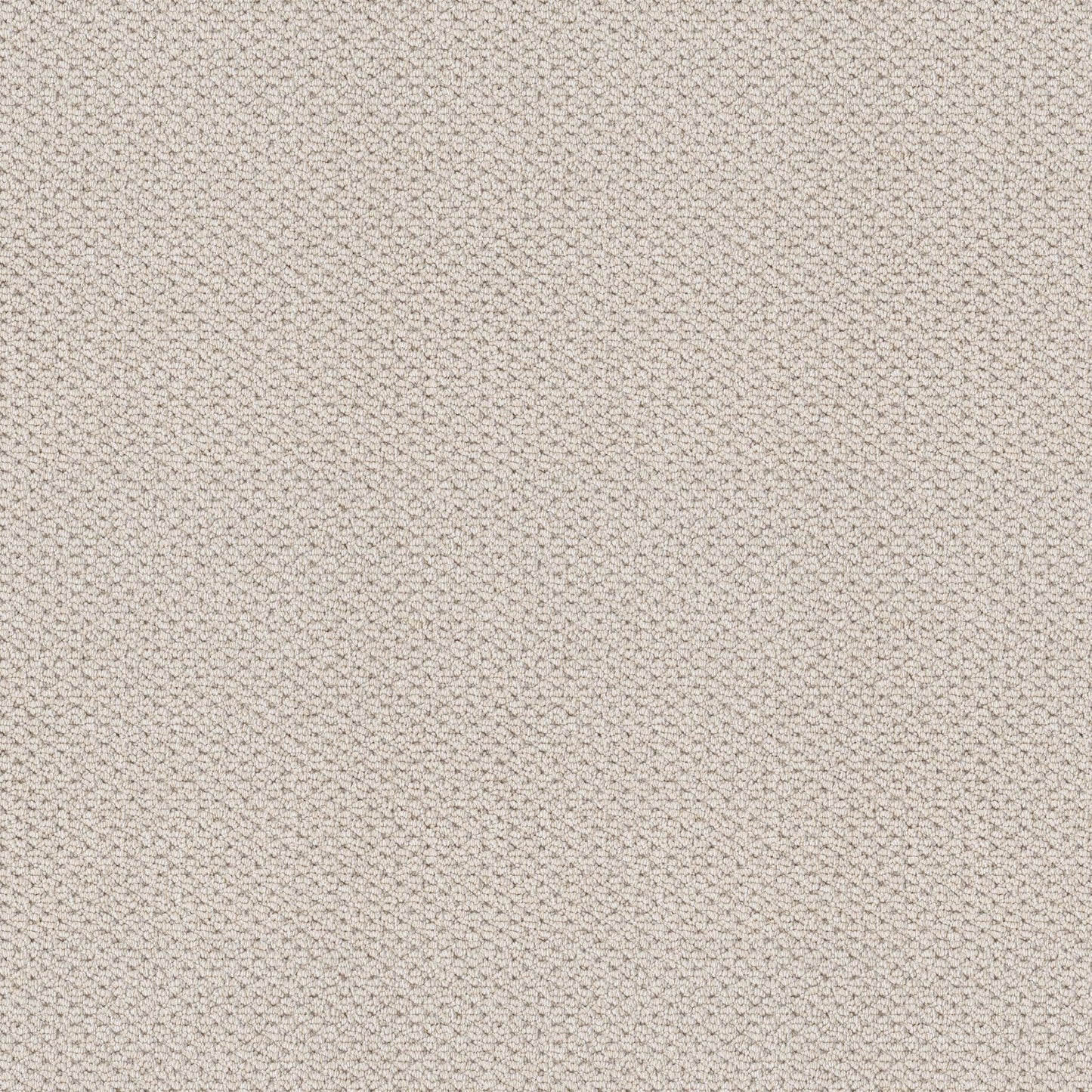 BERBER NYLON LOOP