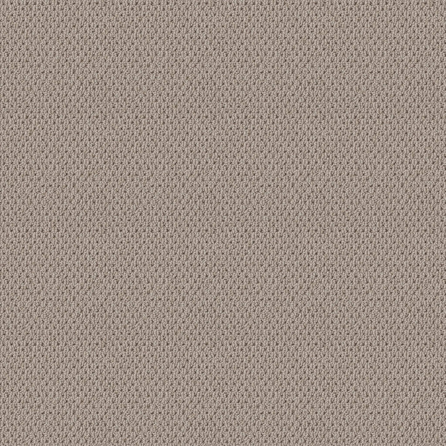 BERBER NYLON LOOP