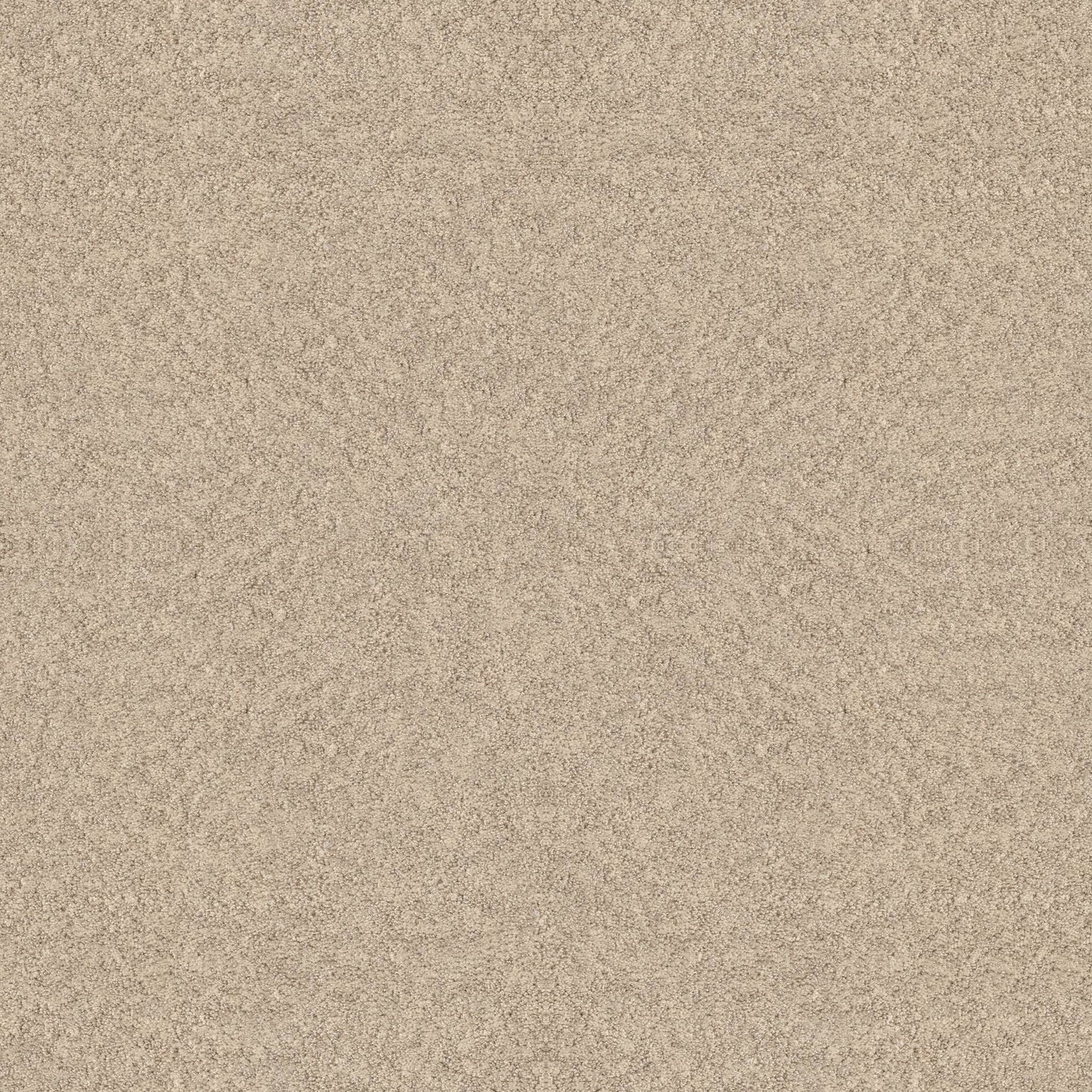 BERBER NYLON LOOP