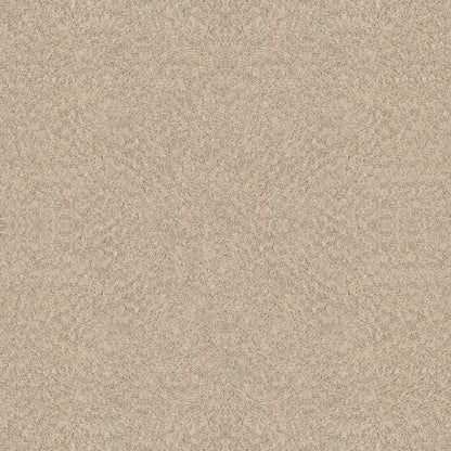 BERBER NYLON LOOP
