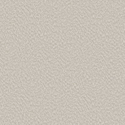 BERBER NYLON LOOP