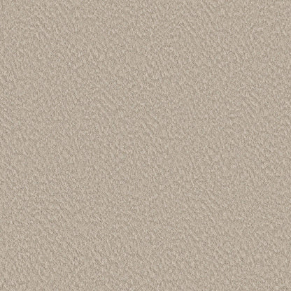 BERBER NYLON LOOP