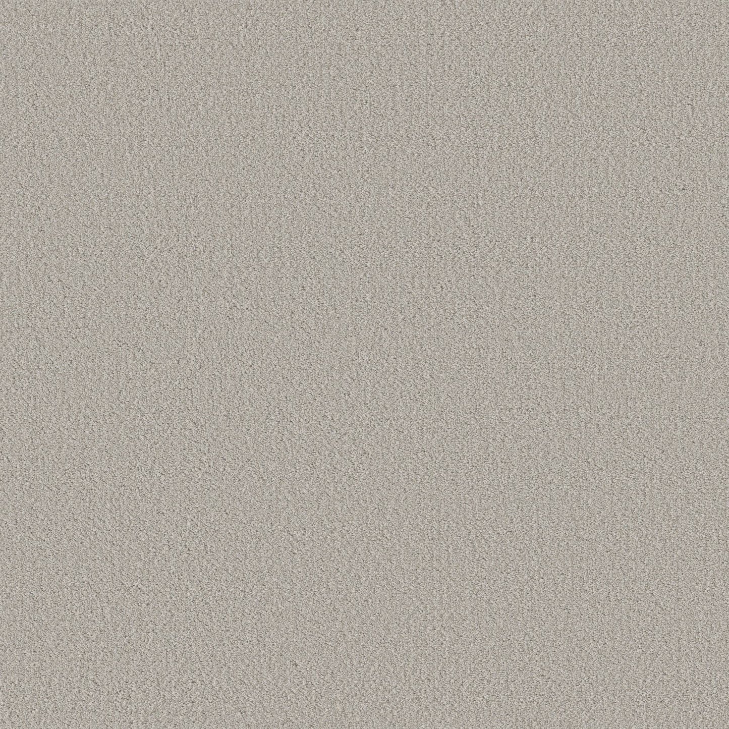 BERBER NYLON LOOP