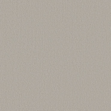 BERBER NYLON LOOP