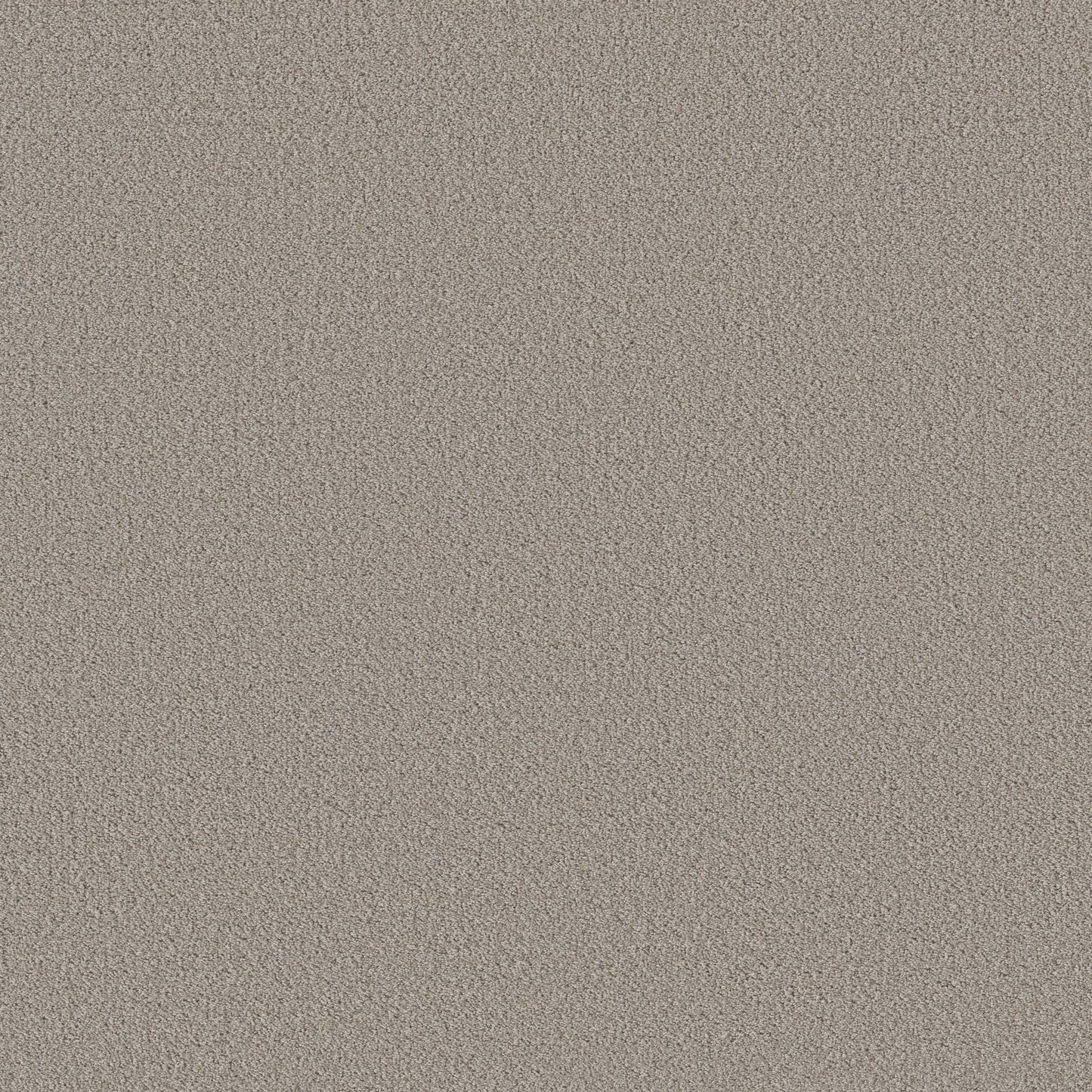 BERBER NYLON LOOP