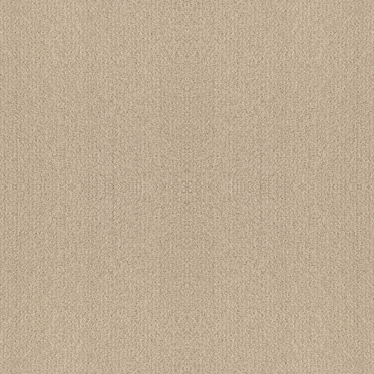 BERBER NYLON LOOP
