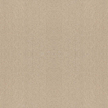 BERBER NYLON LOOP