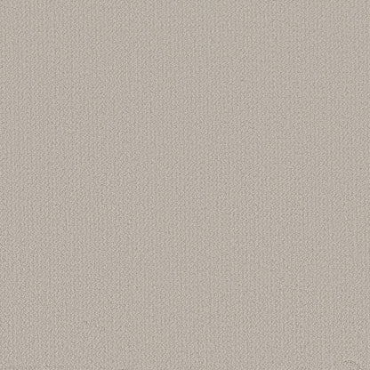 BERBER NYLON LOOP