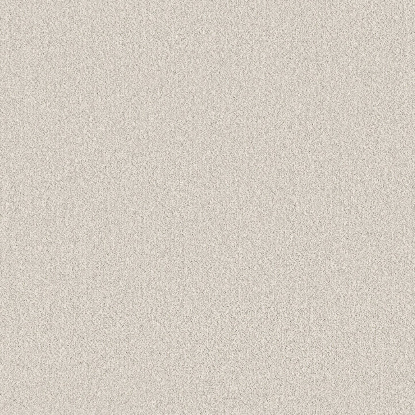 BERBER NYLON LOOP