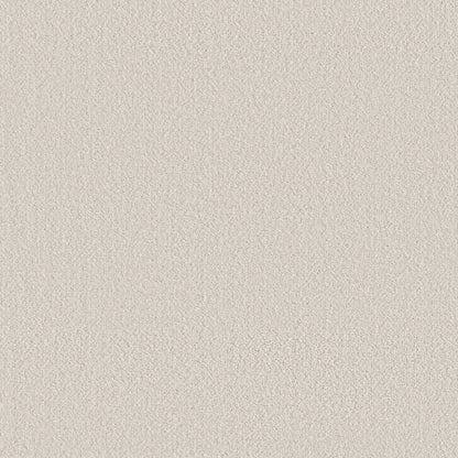 BERBER NYLON LOOP