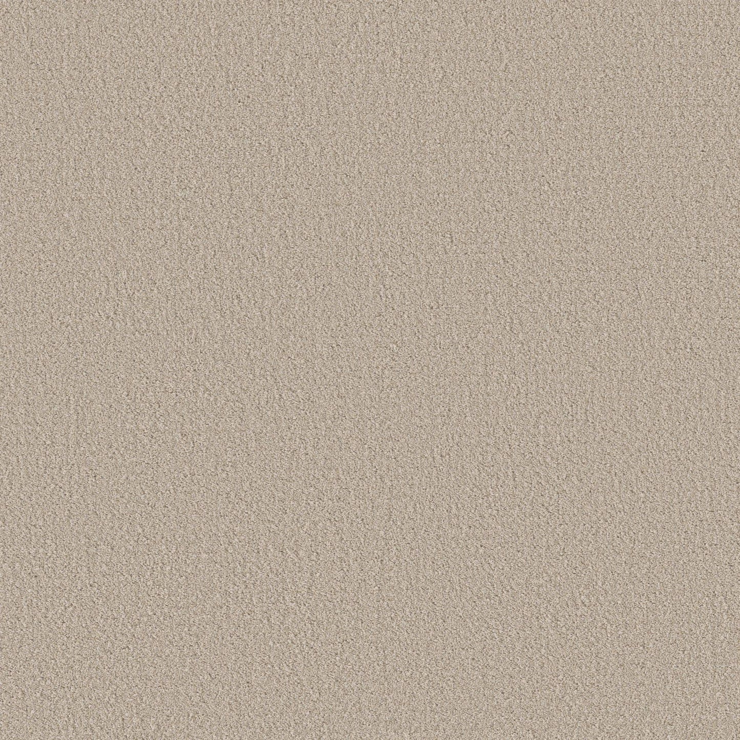 BERBER NYLON LOOP