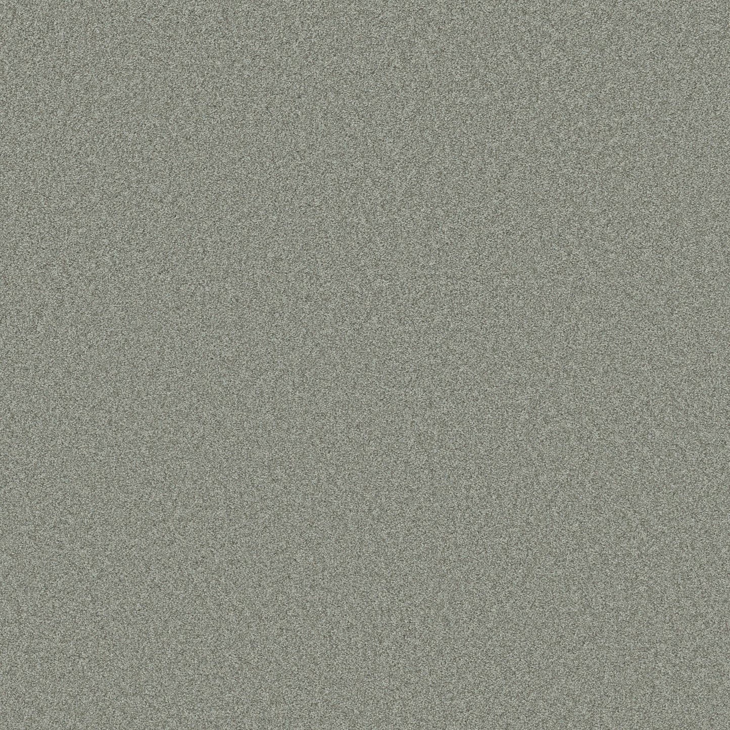 TEXTURE BCF