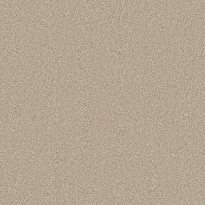 TEXTURE BCF