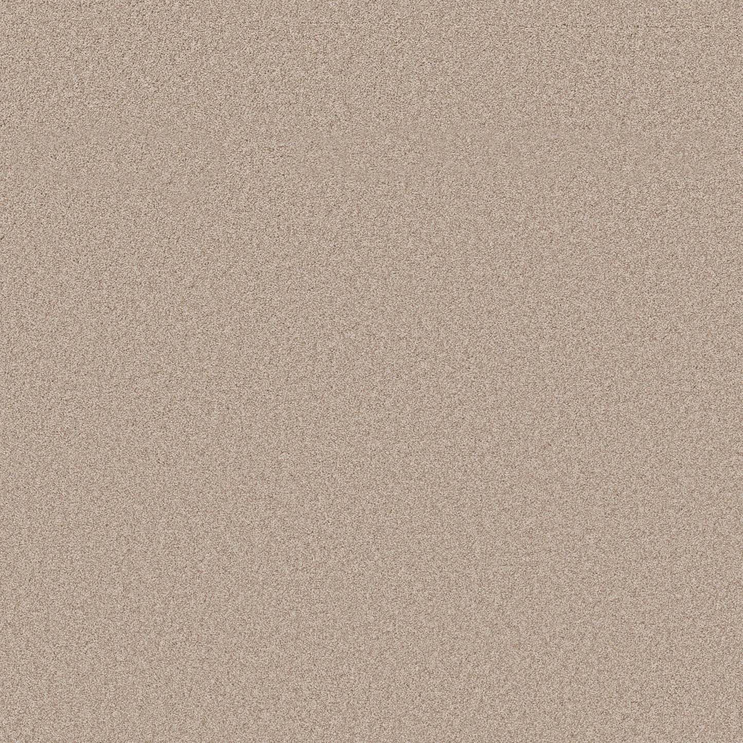TEXTURE BCF