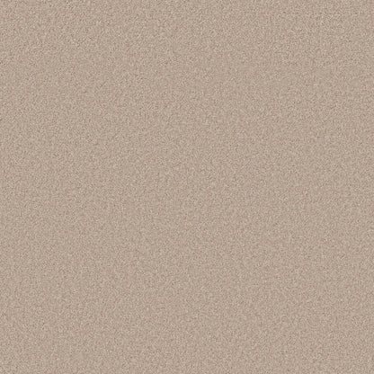 TEXTURE BCF