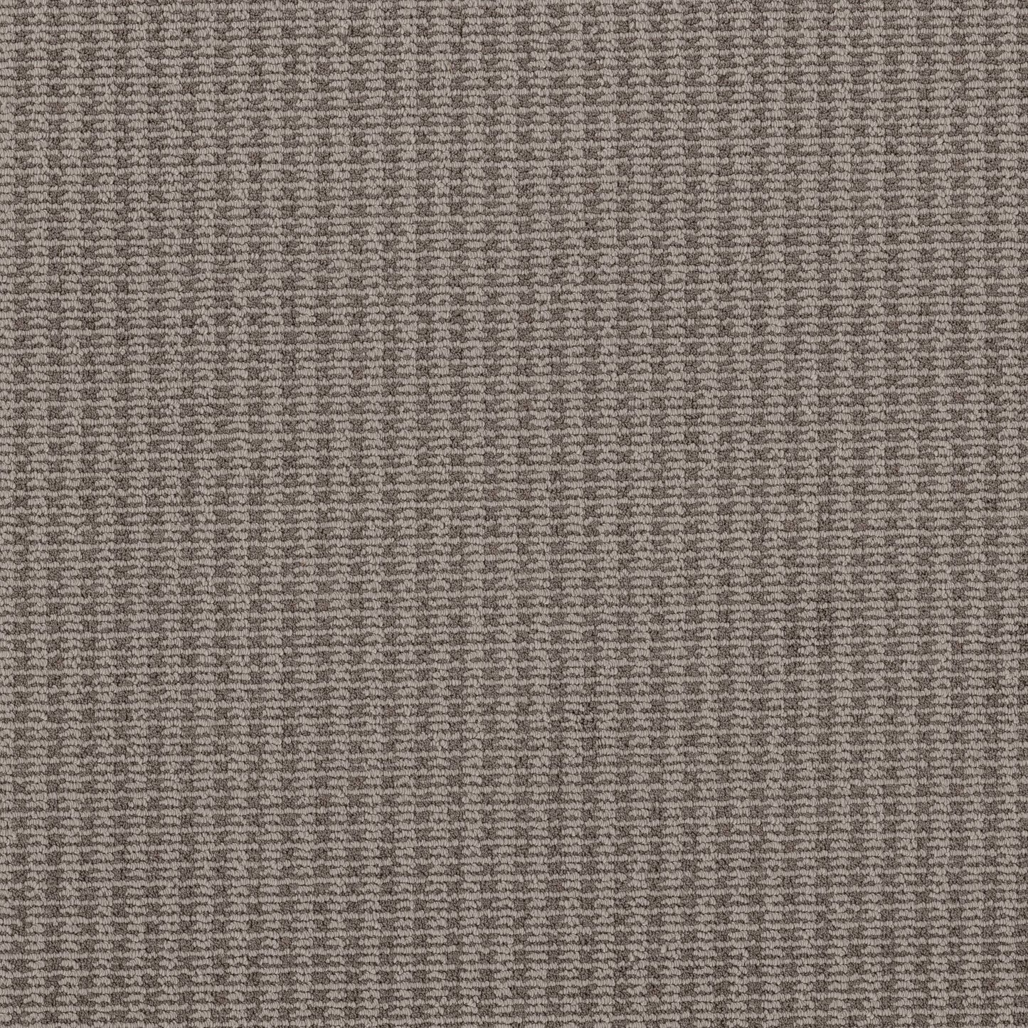 BCF PET LOOP PILE