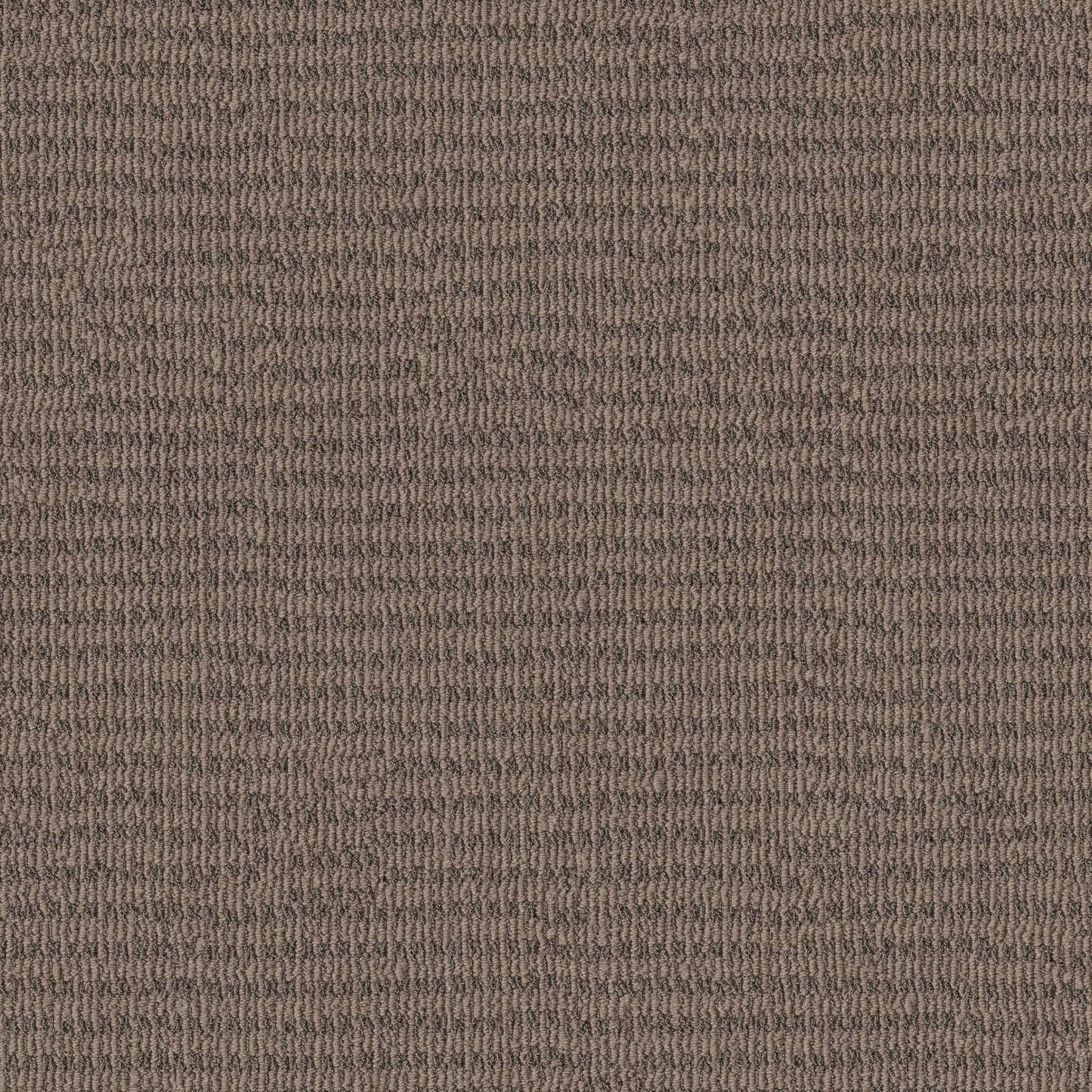 BCF PET LOOP PILE
