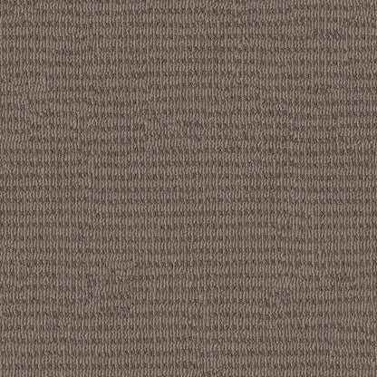 BCF PET LOOP PILE