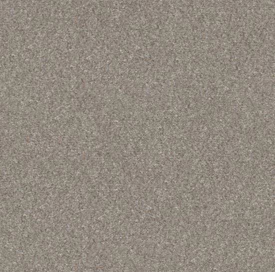 PET BCF