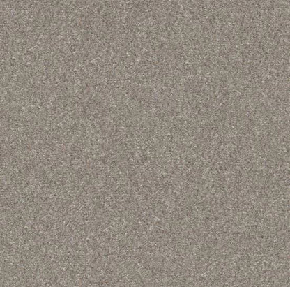PET BCF