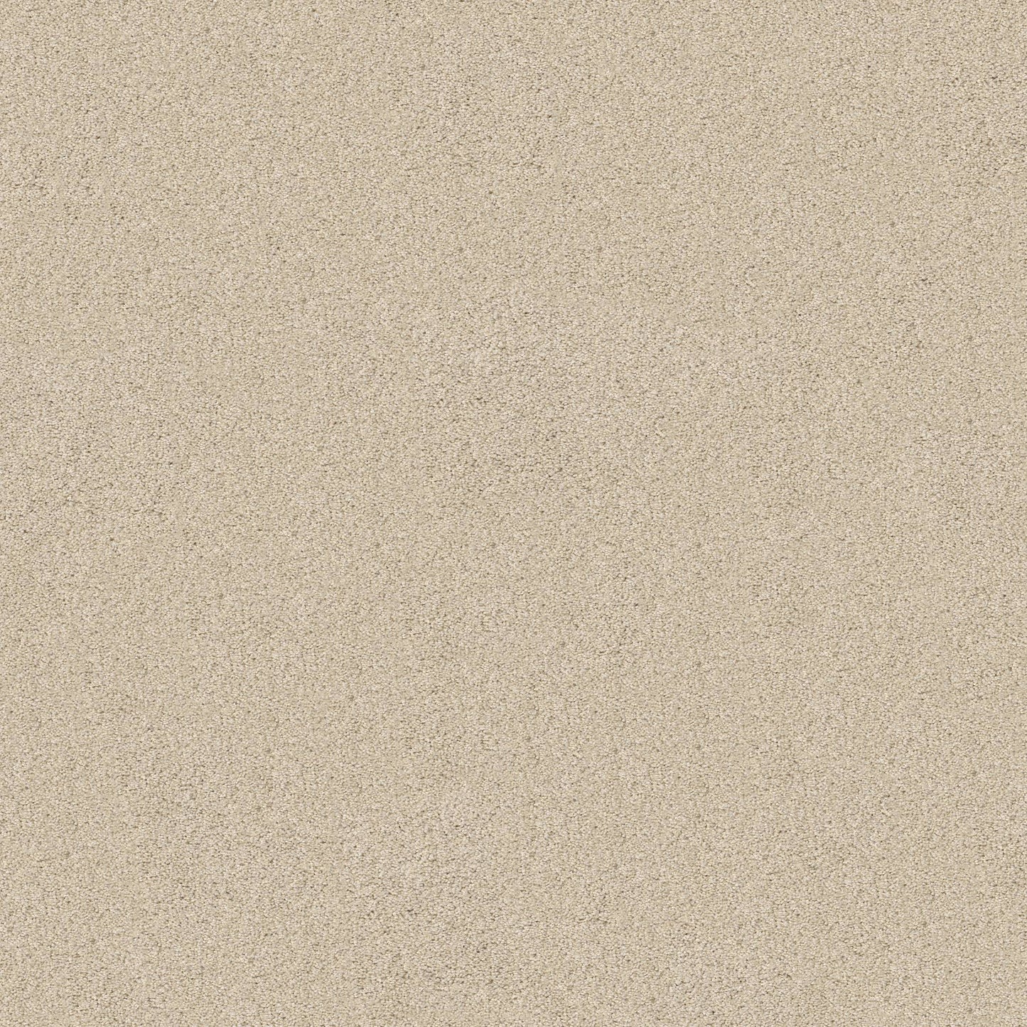 TEXTURE BCF