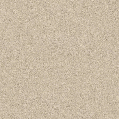 TEXTURE BCF