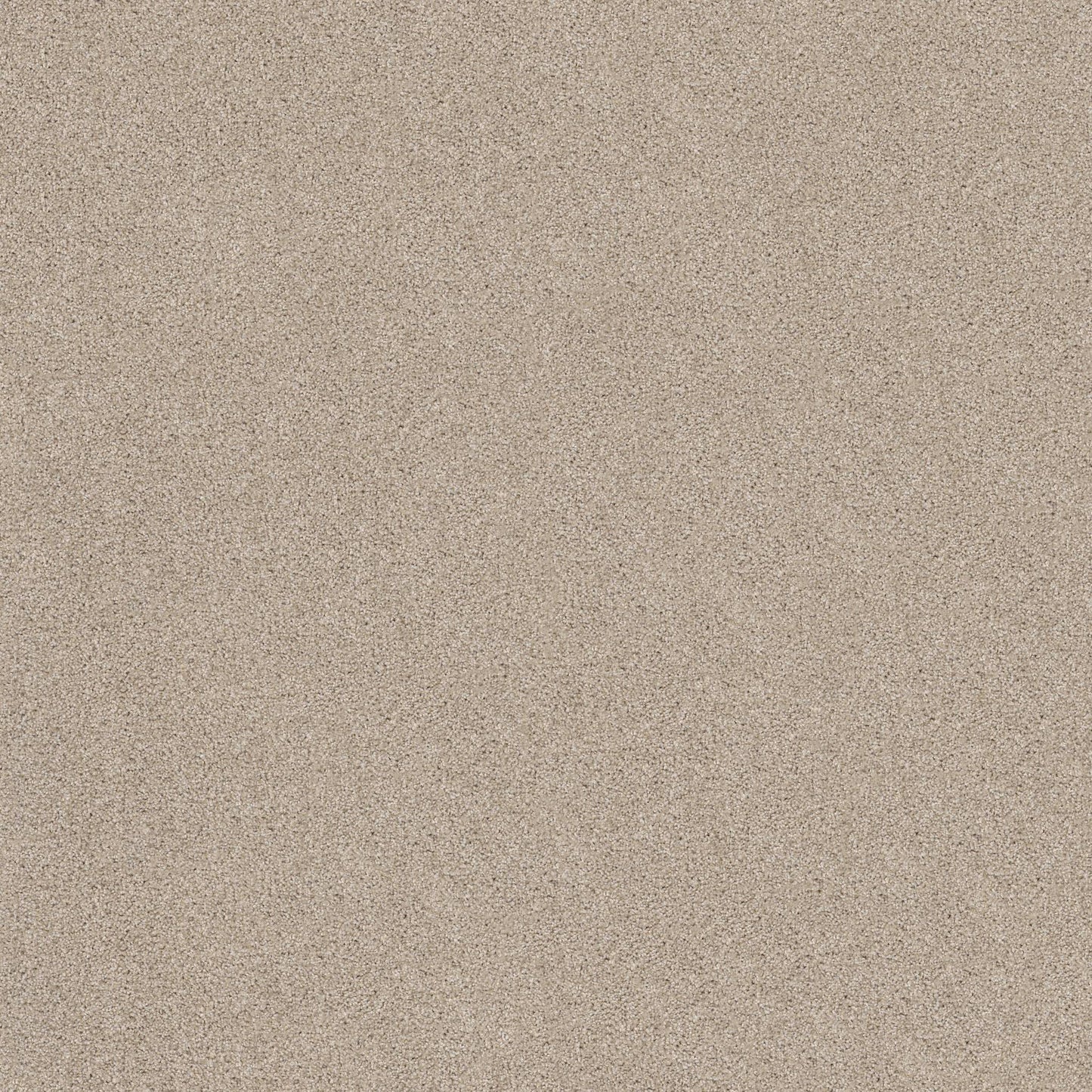 TEXTURE BCF