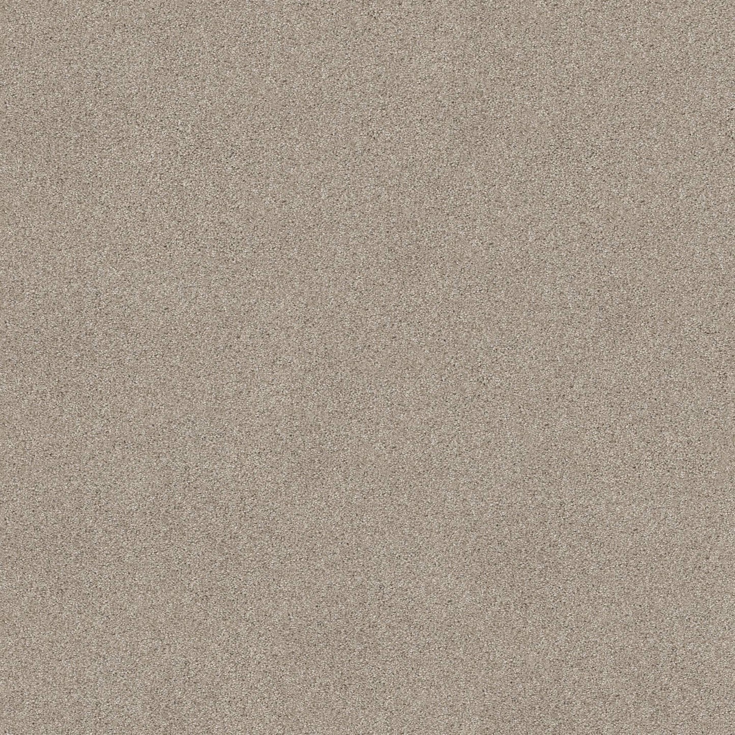 TEXTURE BCF