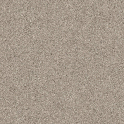 TEXTURE BCF