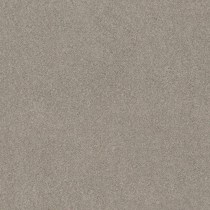 TEXTURE BCF