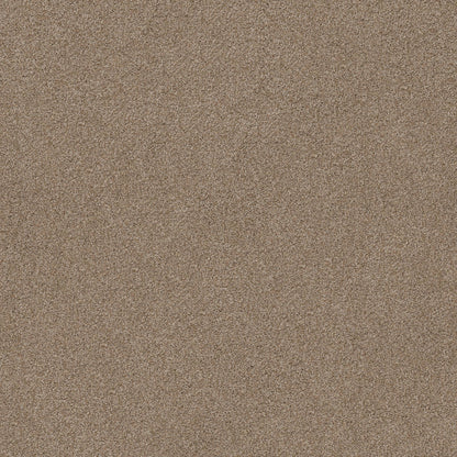TEXTURE BCF