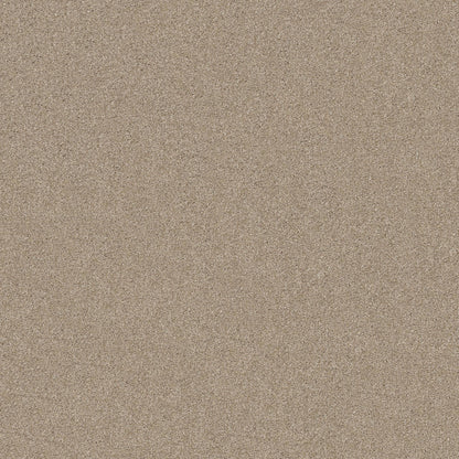TEXTURE BCF