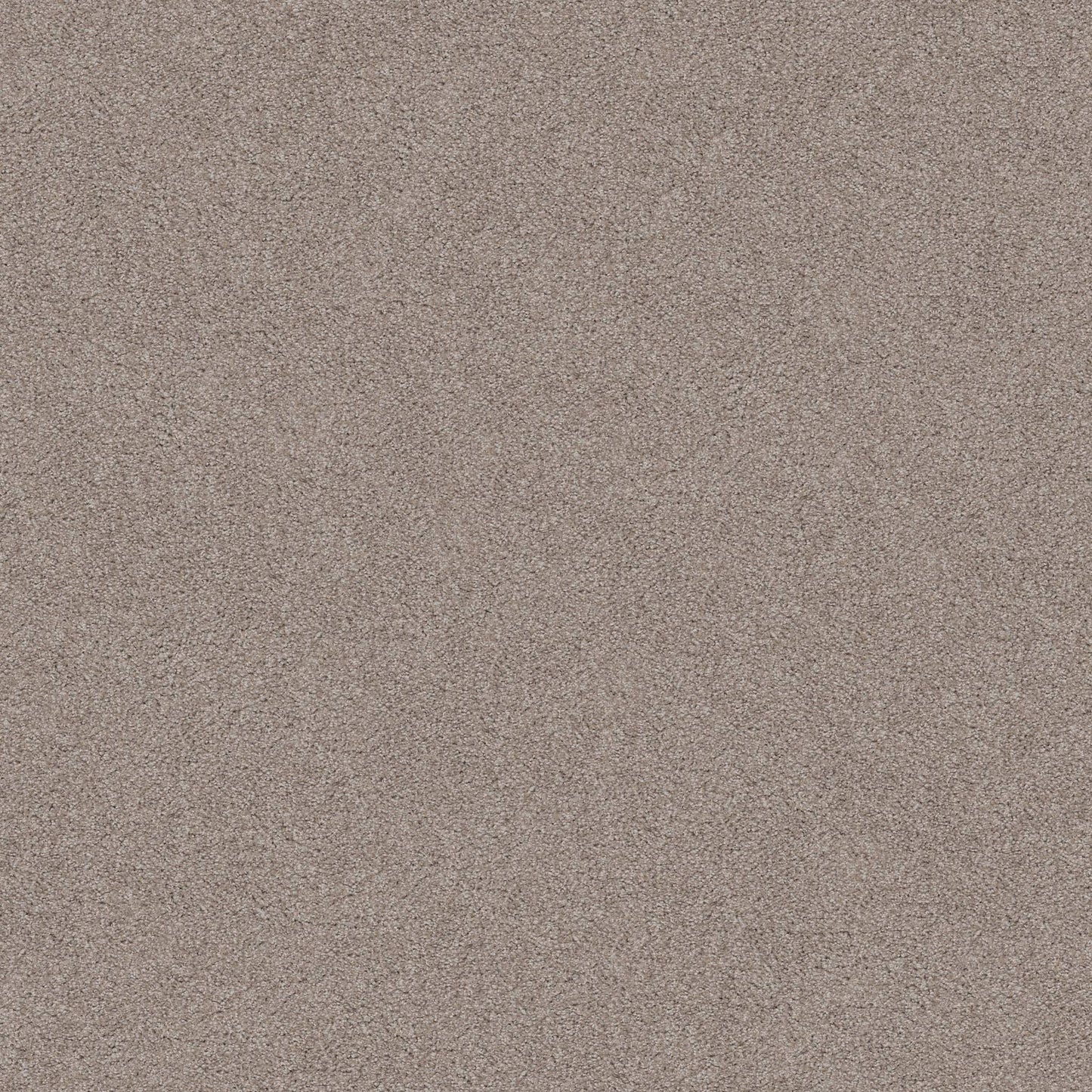 TEXTURE BCF