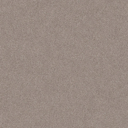 TEXTURE BCF