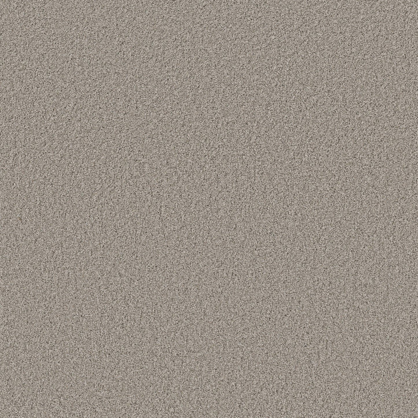 TEXTURE BCF